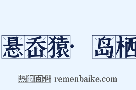 悬岙猿·岛栖是什么意思的图片